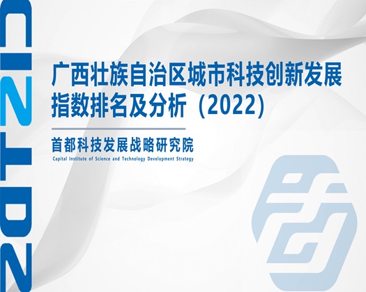 欧美操屌视频【成果发布】广西壮族自治区城市科技创新发展指数排名及分析（2022）